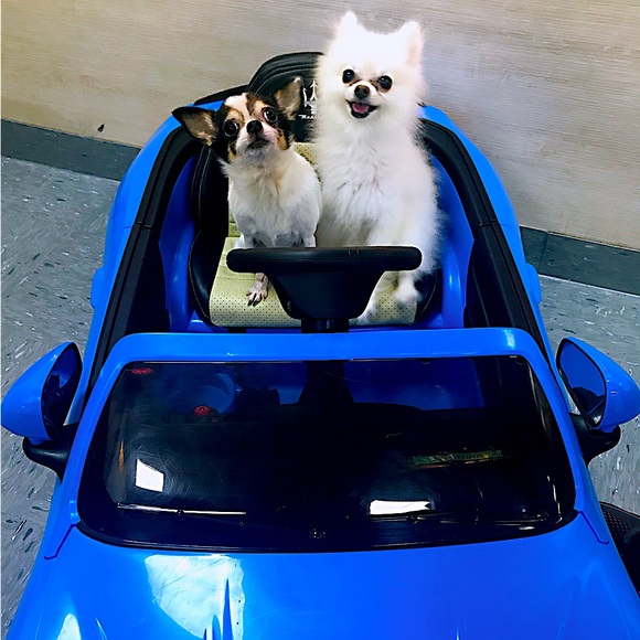 Meet your Posher, Char - Picture 1 of 1